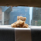 Image for article titled If You Can't Buy It, Build It: Wanky The Safety Cat
